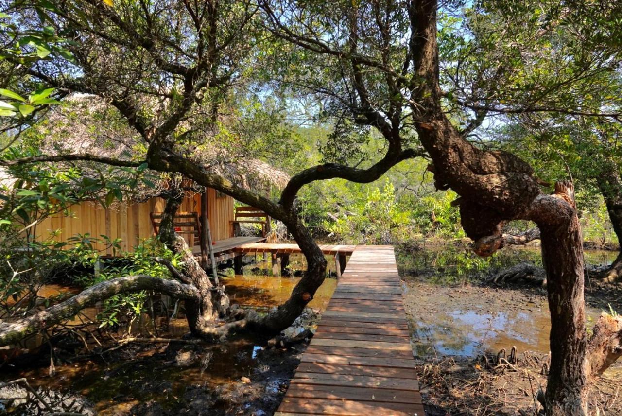 Lily'S Riverhouse Prek Svay Village Dış mekan fotoğraf