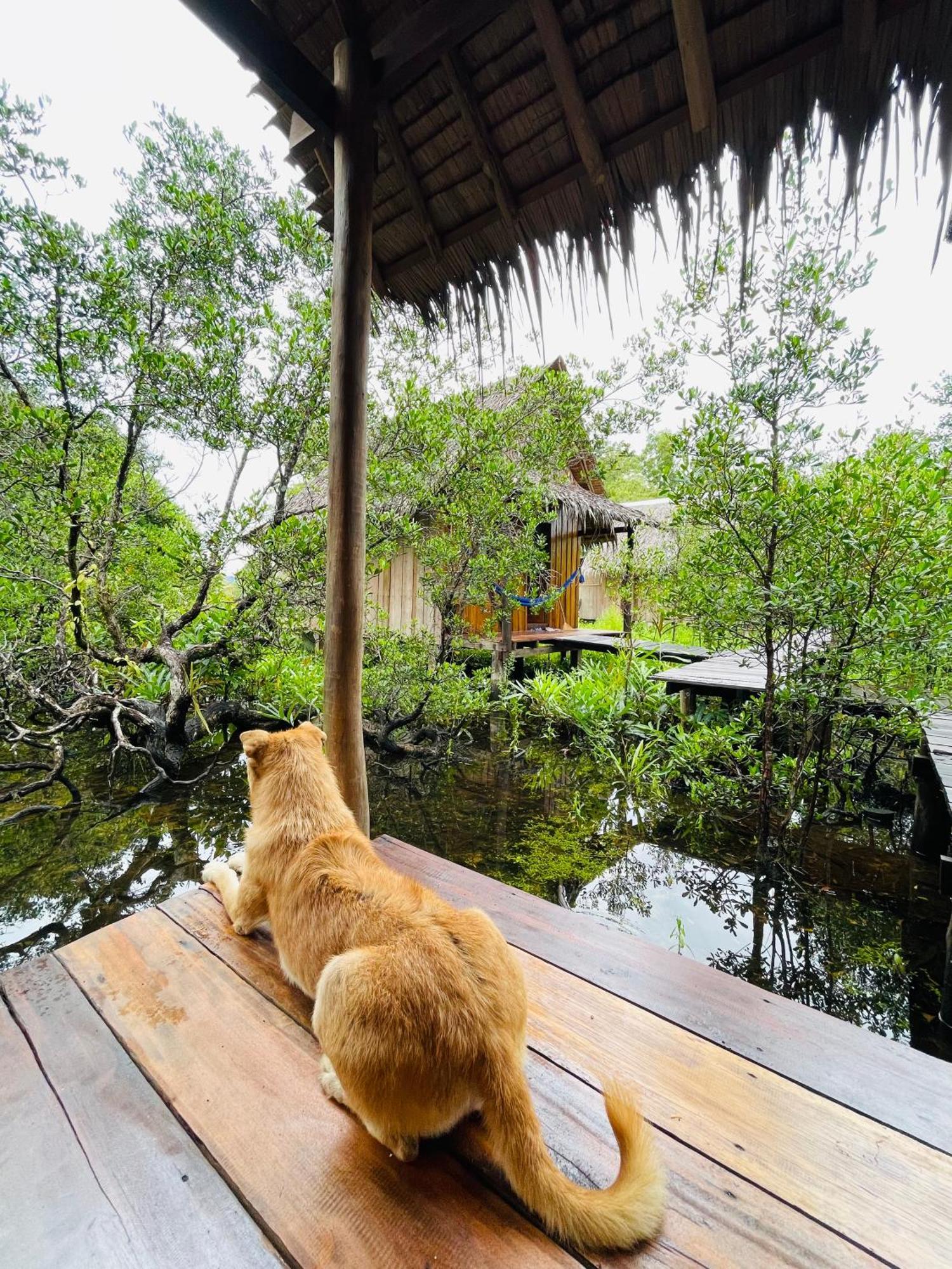 Lily'S Riverhouse Prek Svay Village Dış mekan fotoğraf