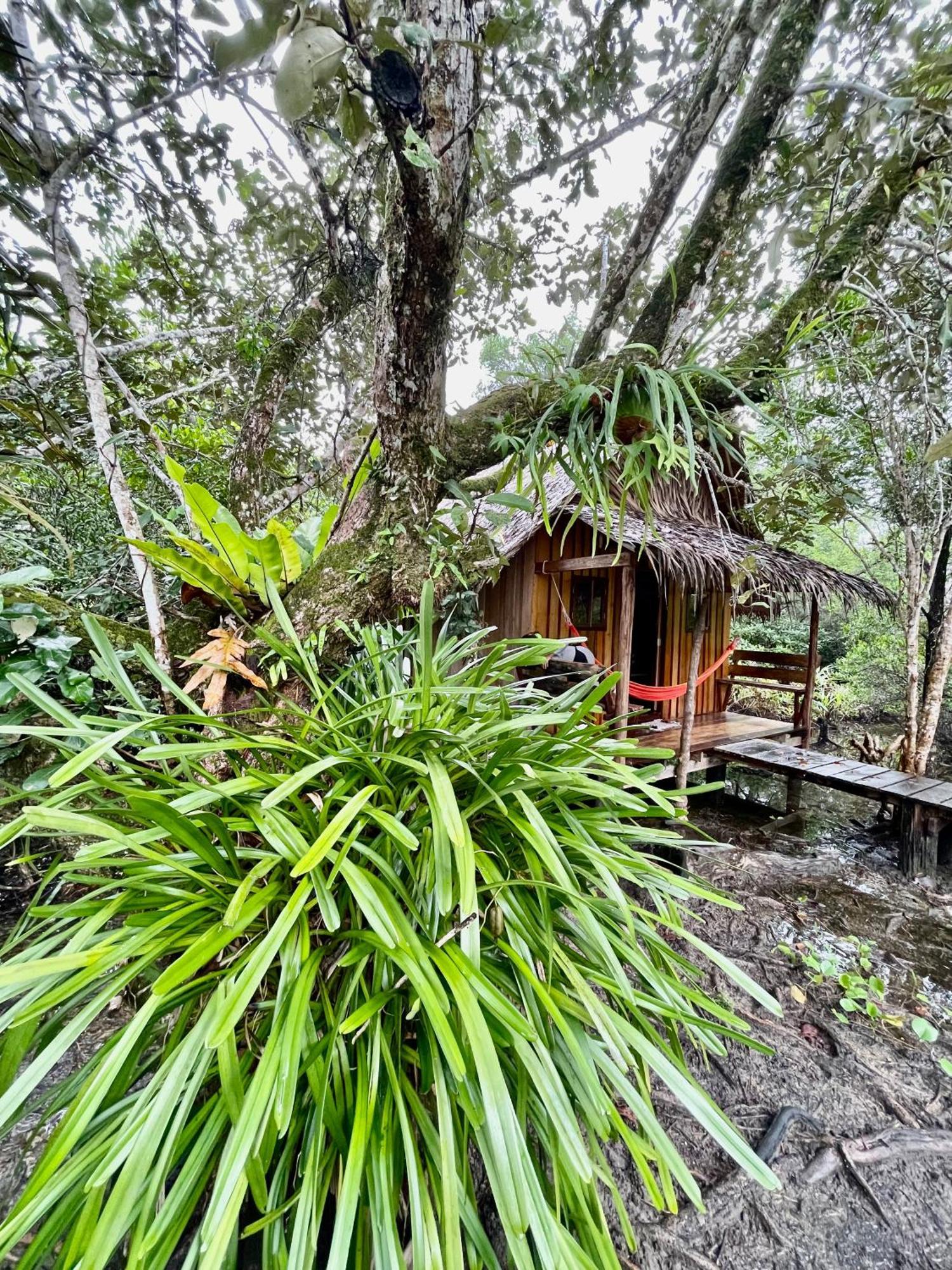 Lily'S Riverhouse Prek Svay Village Dış mekan fotoğraf